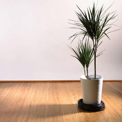 14mm Extra Wide Engineered Stranded Bamboo Parquet Flooring με βερνίκι από τη Γερμανία